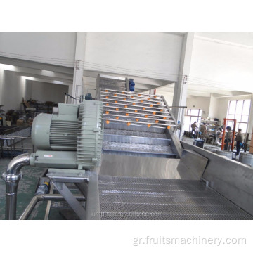 Hot Sale Papaya Processing Machine